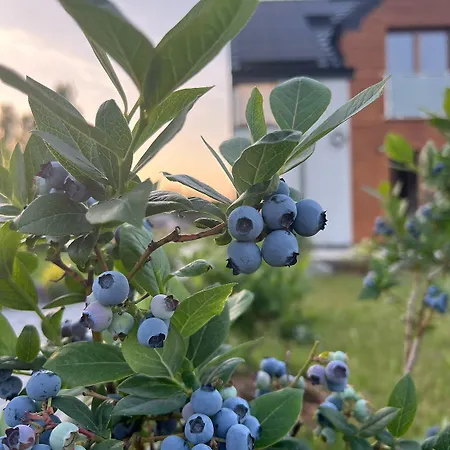 I Nadmorskie - Owocowe Wzgorze *