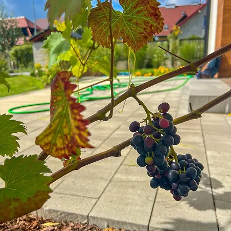 I Nadmorskie - Owocowe Wzgorze Apartmán *