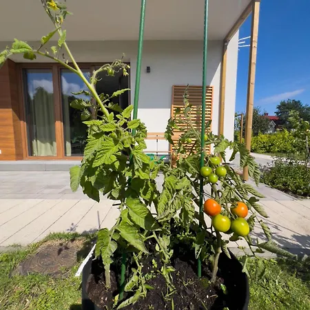 I Nadmorskie - Owocowe Wzgorze Apartmán *